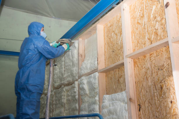 Best Wall Insulation Contractor  in El Jebel, CO